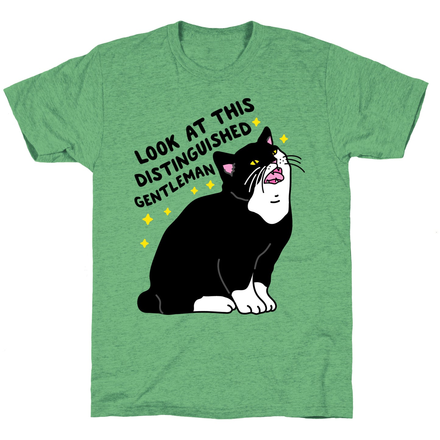 Look At This Distinguished Gentleman Cat Unisex Triblend Tee