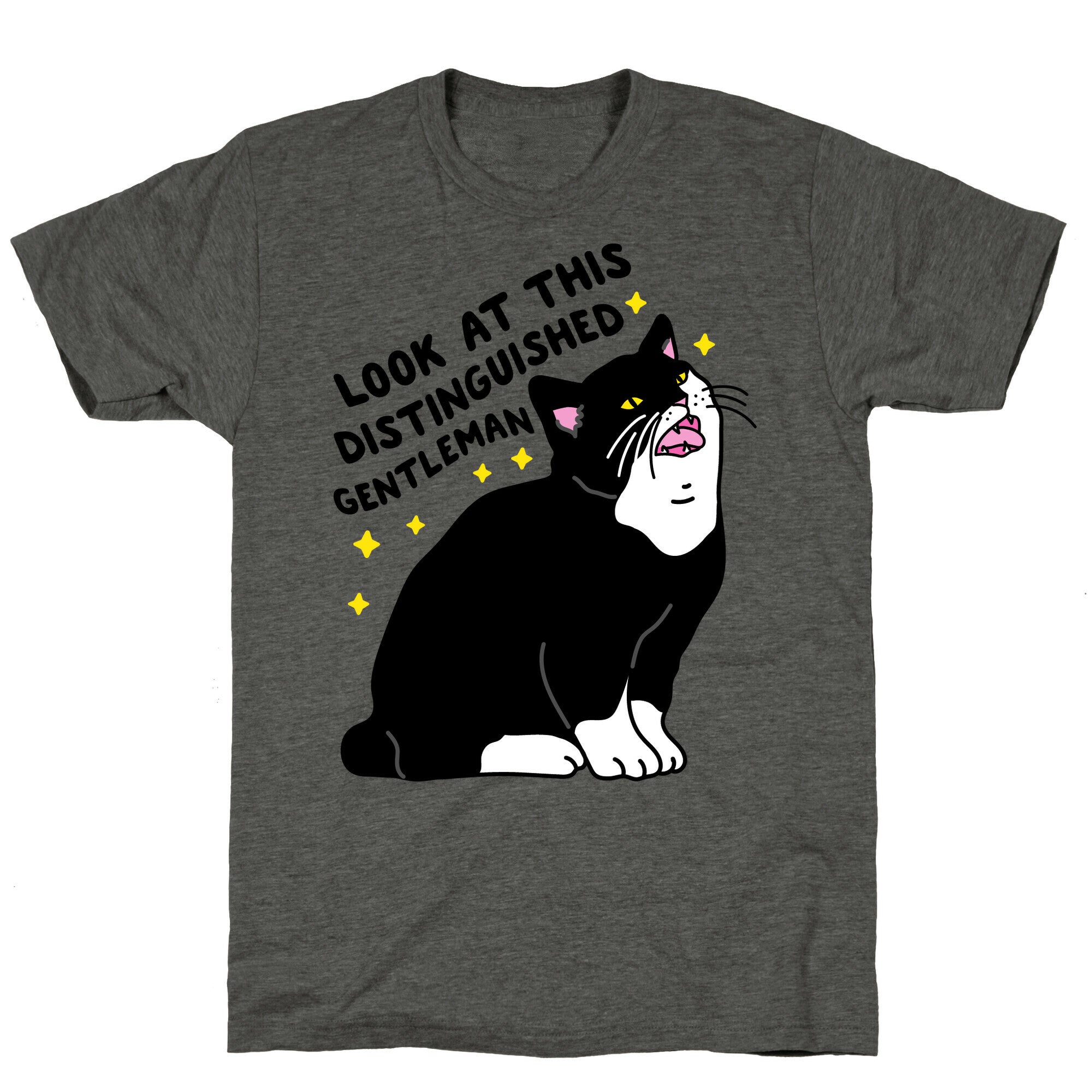 Look At This Distinguished Gentleman Cat Unisex Triblend Tee
