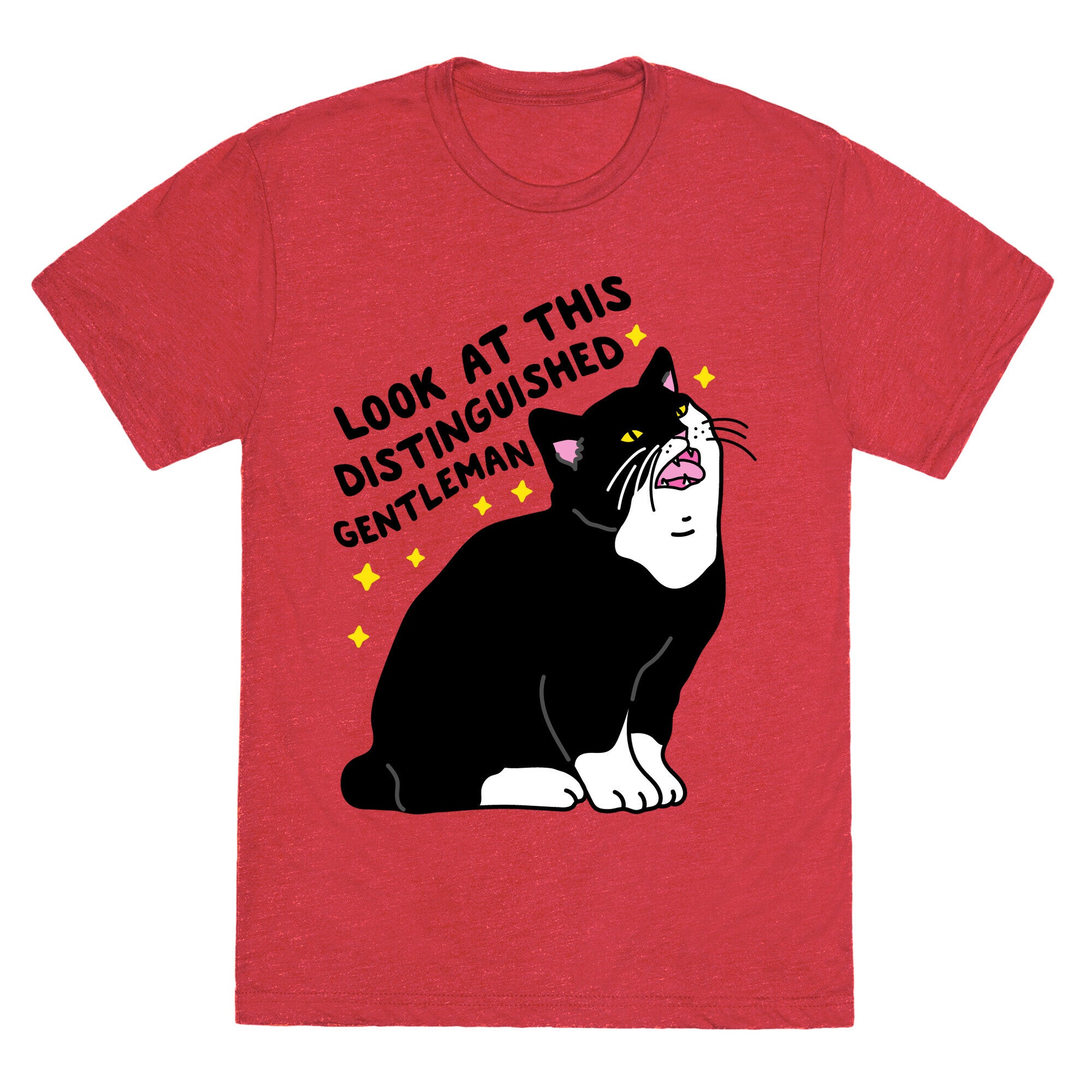 Look At This Distinguished Gentleman Cat Unisex Triblend Tee