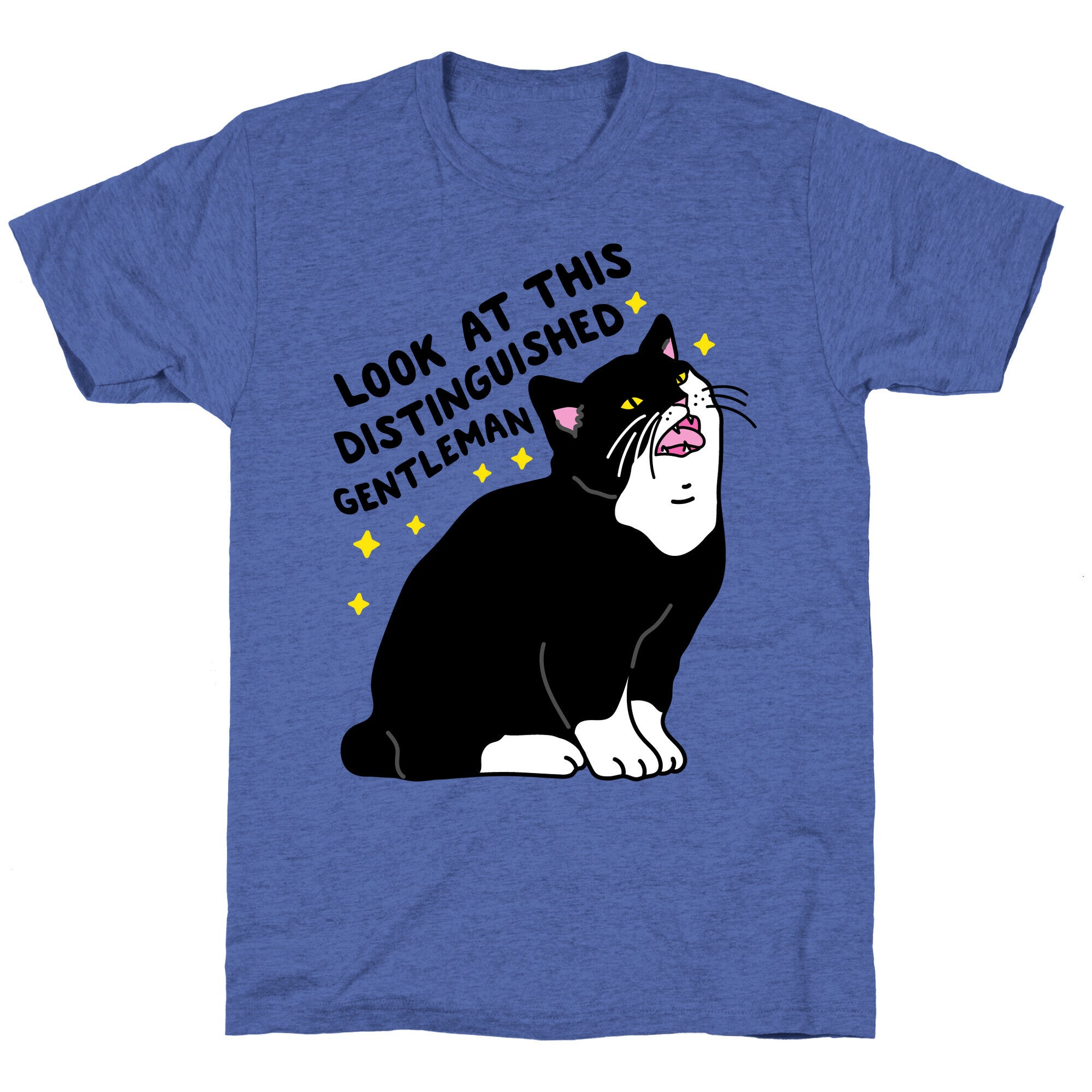 Look At This Distinguished Gentleman Cat Unisex Triblend Tee
