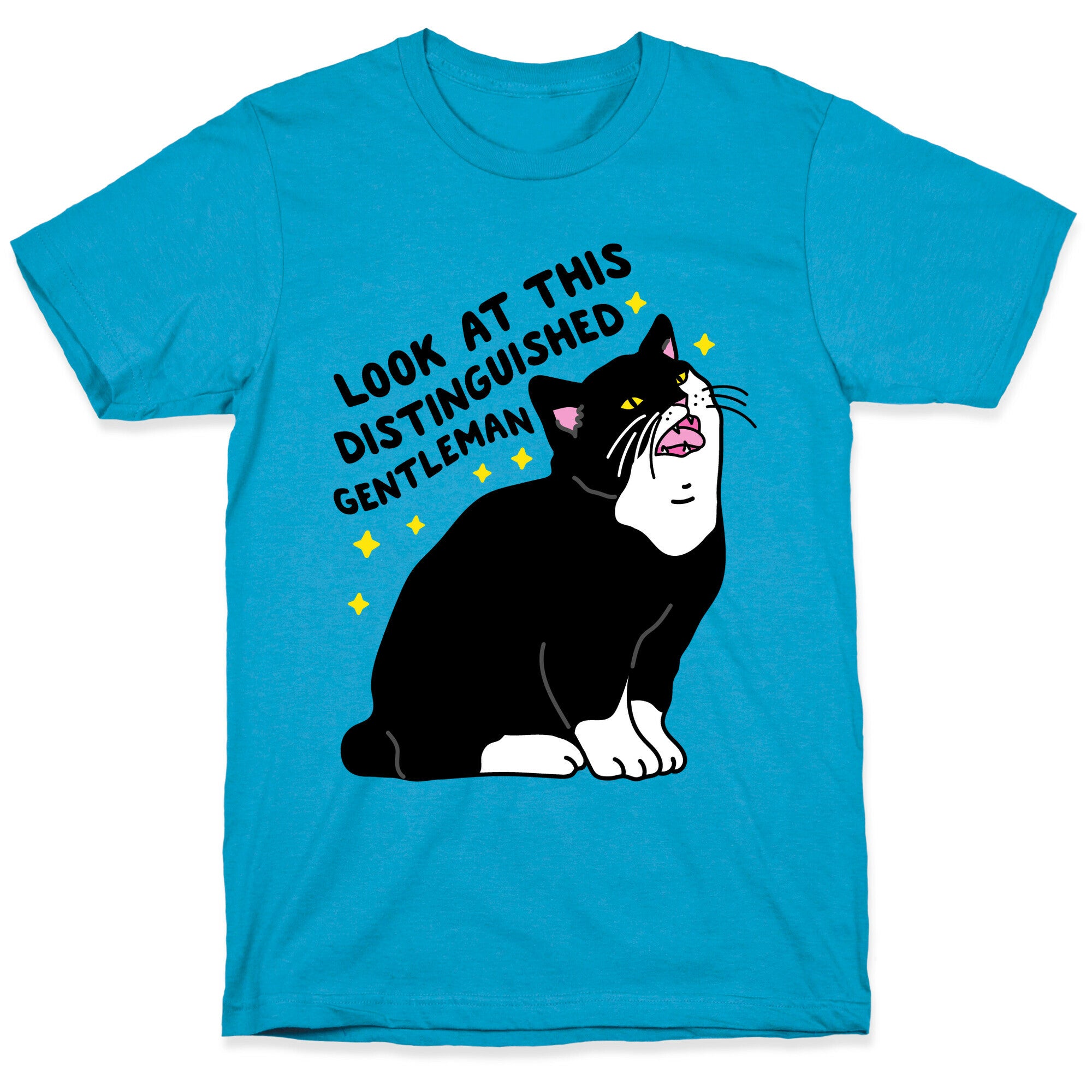 Look At This Distinguished Gentleman Cat Unisex Triblend Tee