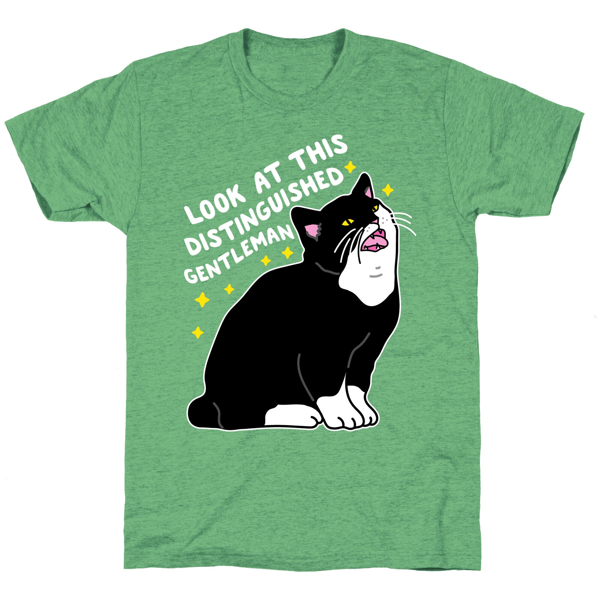 Look At This Distinguished Gentleman Cat Unisex Triblend Tee