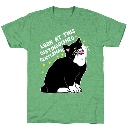 Look At This Distinguished Gentleman Cat Unisex Triblend Tee
