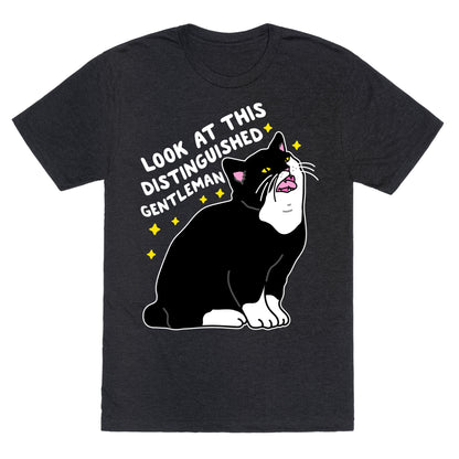 Look At This Distinguished Gentleman Cat Unisex Triblend Tee