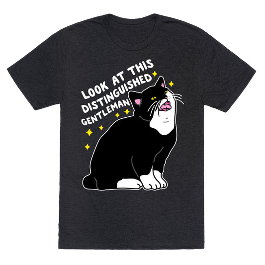 Look At This Distinguished Gentleman Cat Unisex Triblend Tee