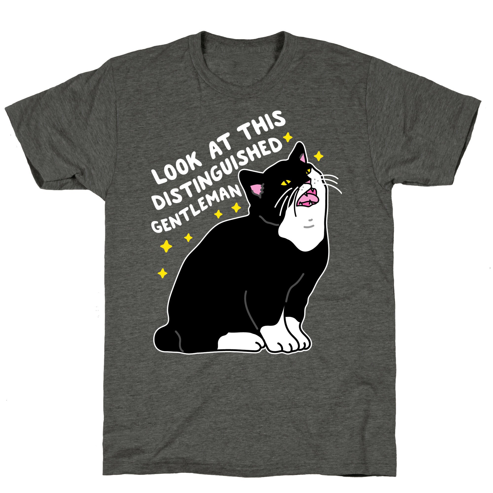 Look At This Distinguished Gentleman Cat Unisex Triblend Tee