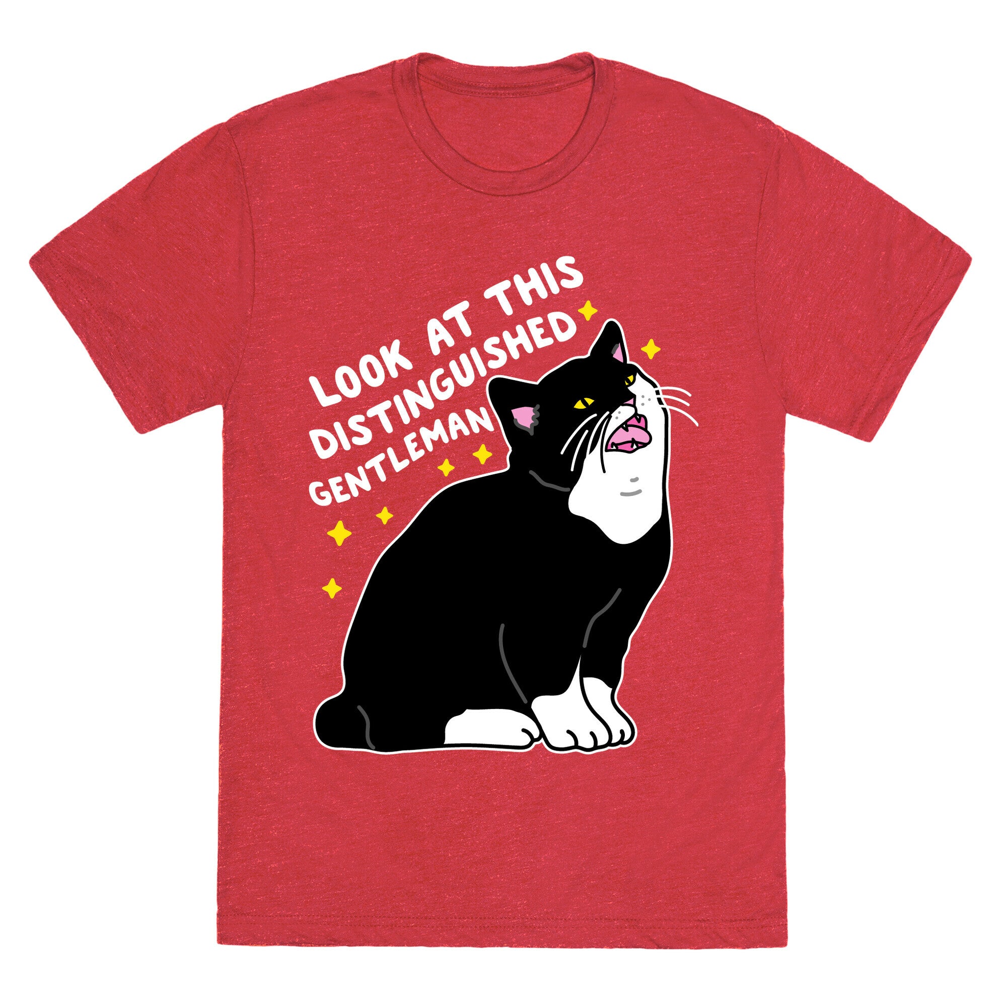 Look At This Distinguished Gentleman Cat Unisex Triblend Tee