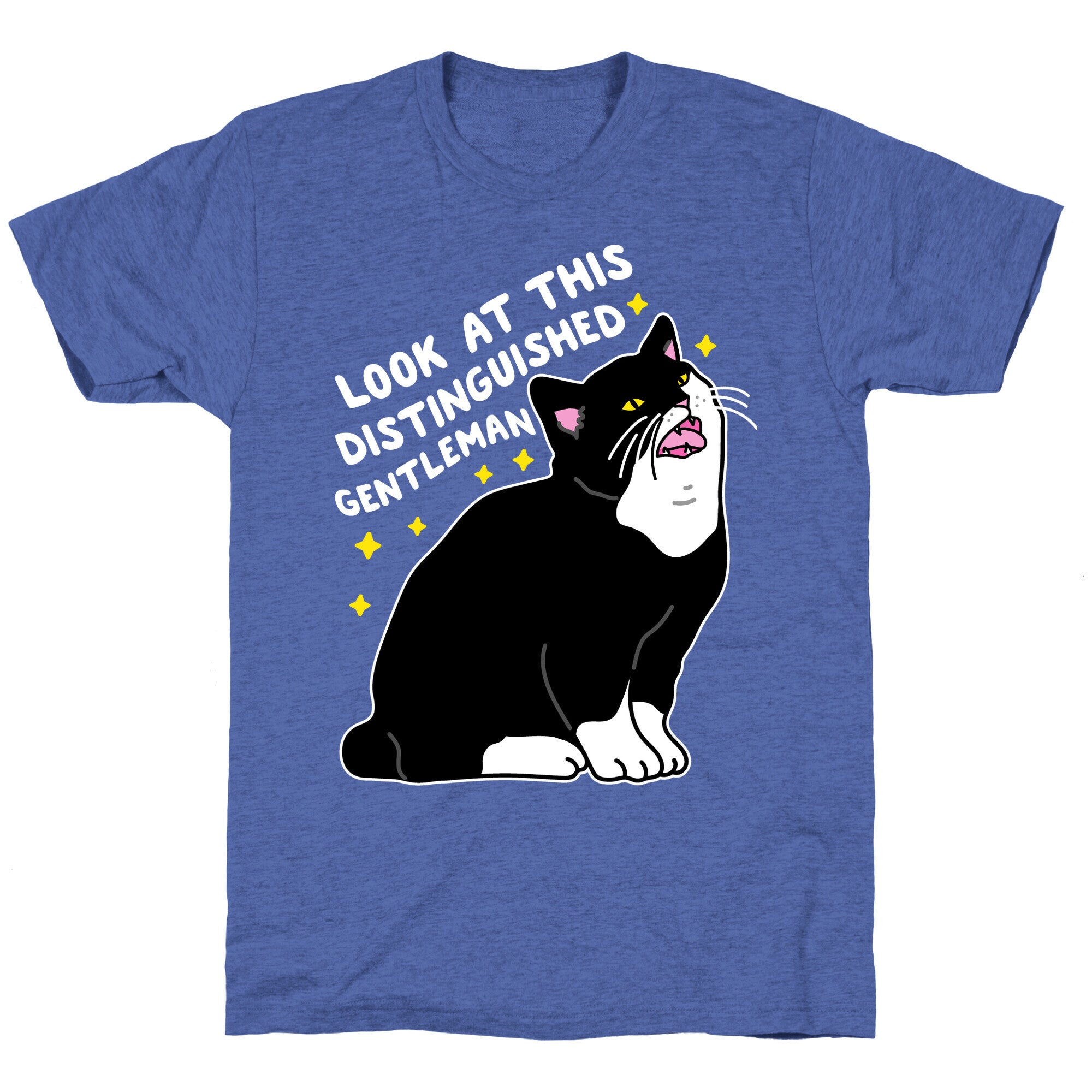 Look At This Distinguished Gentleman Cat Unisex Triblend Tee