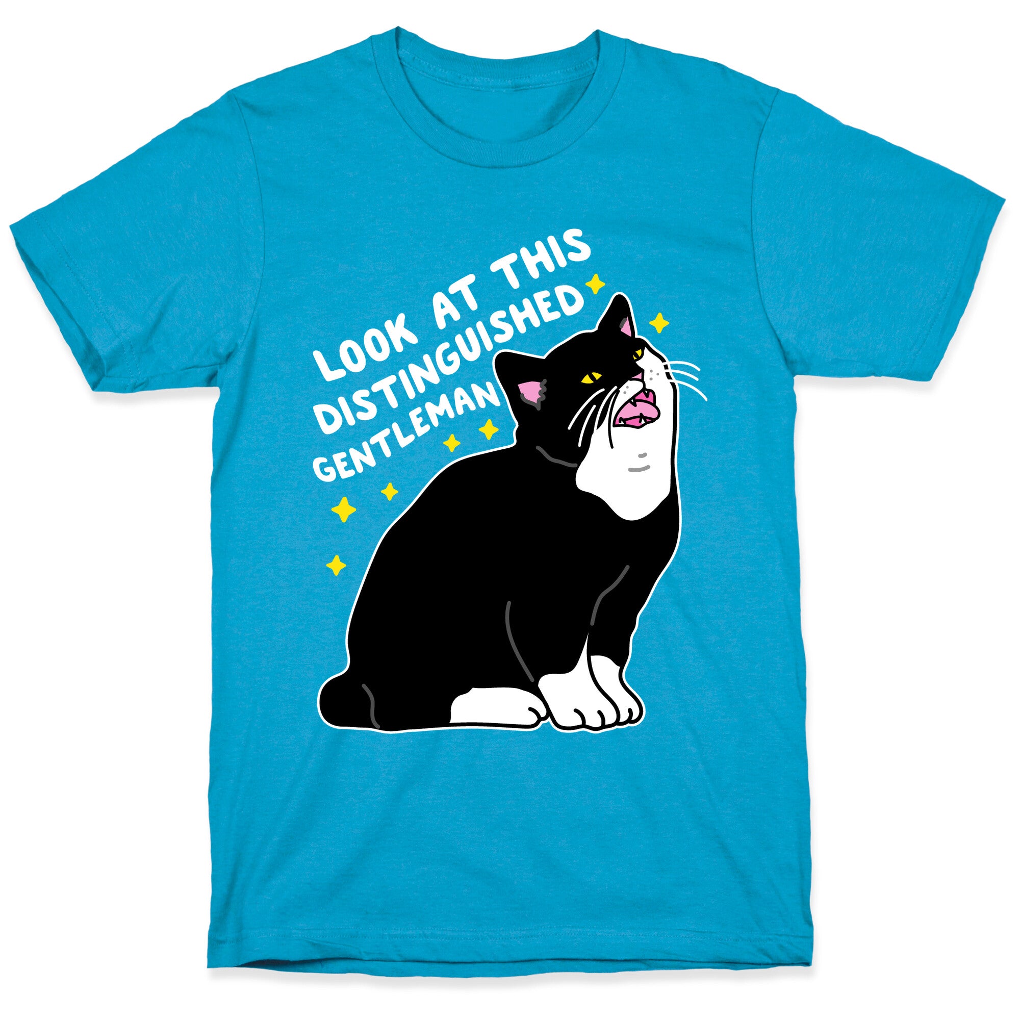 Look At This Distinguished Gentleman Cat Unisex Triblend Tee