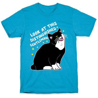 Look At This Distinguished Gentleman Cat Unisex Triblend Tee