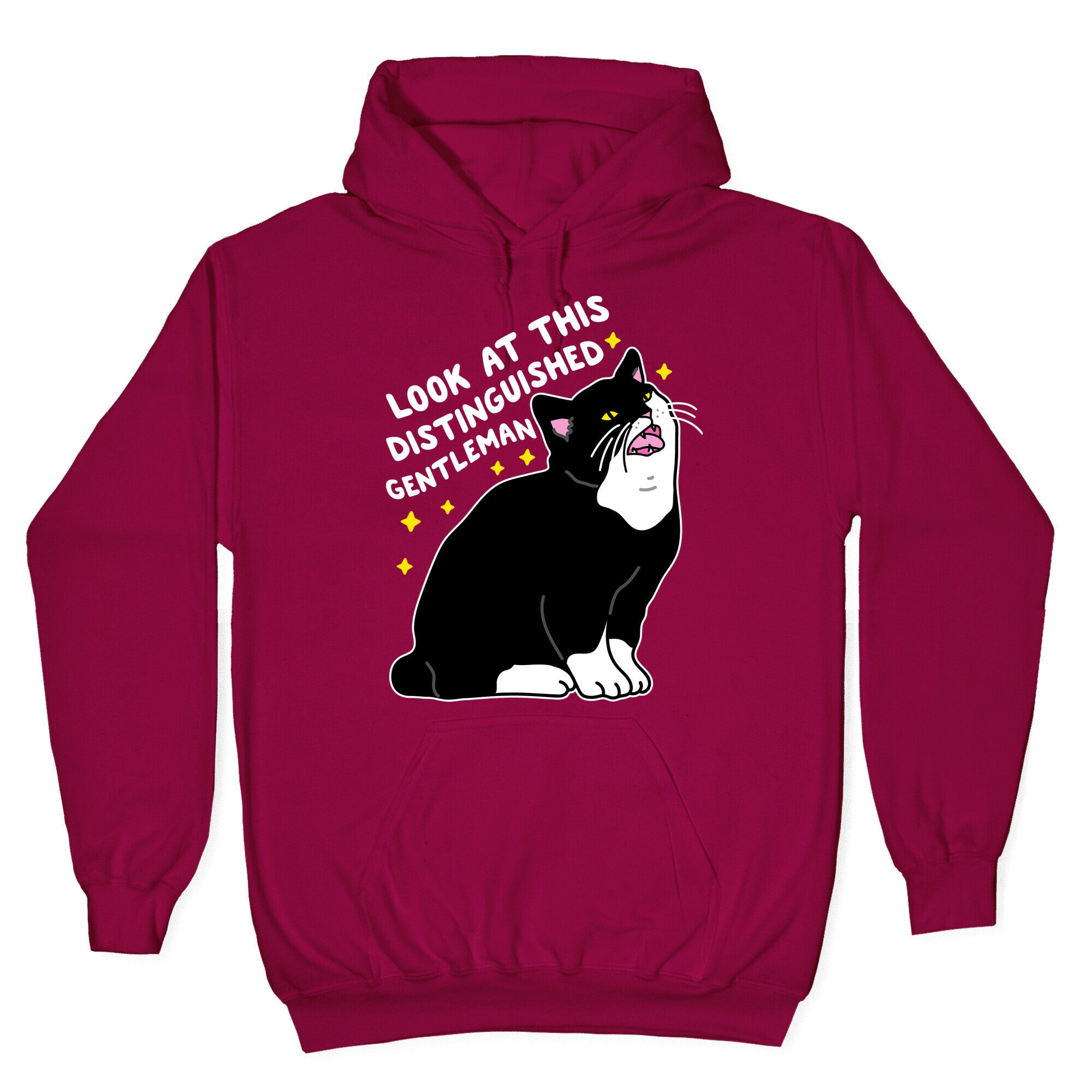 Look At This Distinguished Gentleman Cat Hoodie