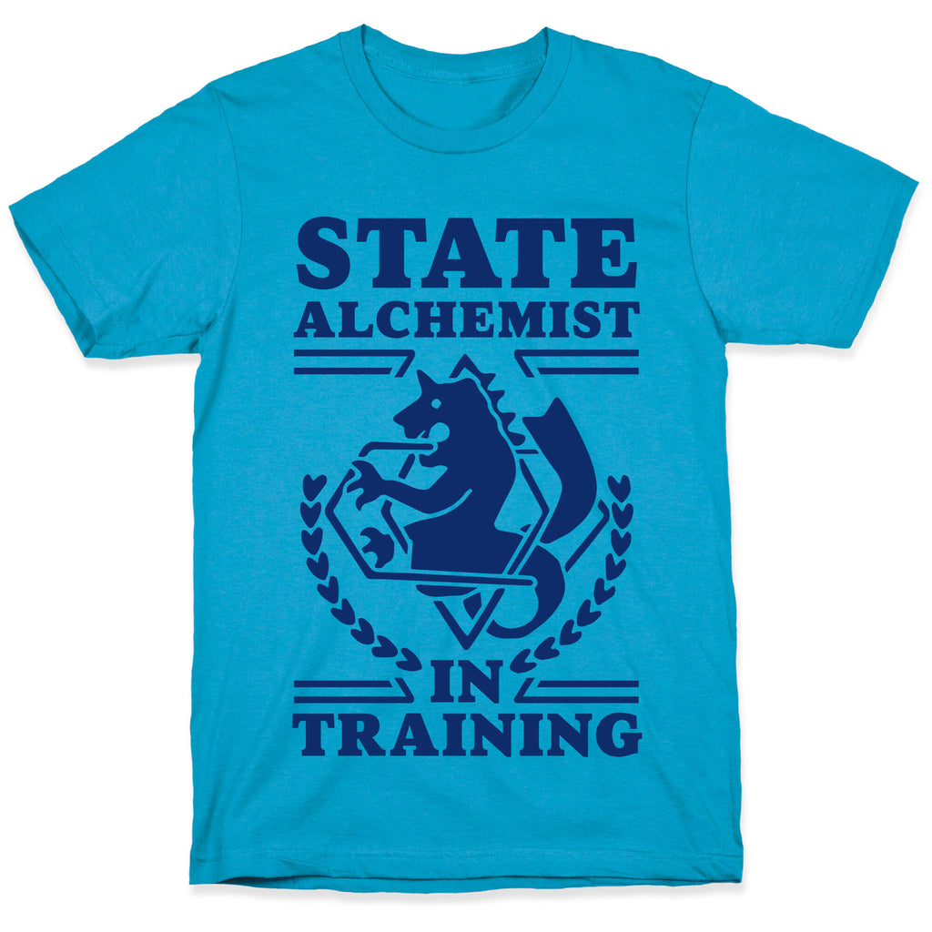 State Alchemist in Training Unisex Triblend Tee