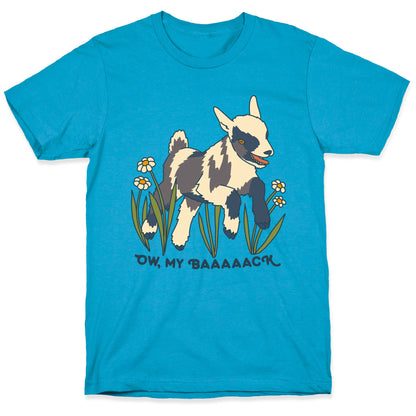 Ow, My Baaaaack Goat Unisex Triblend Tee