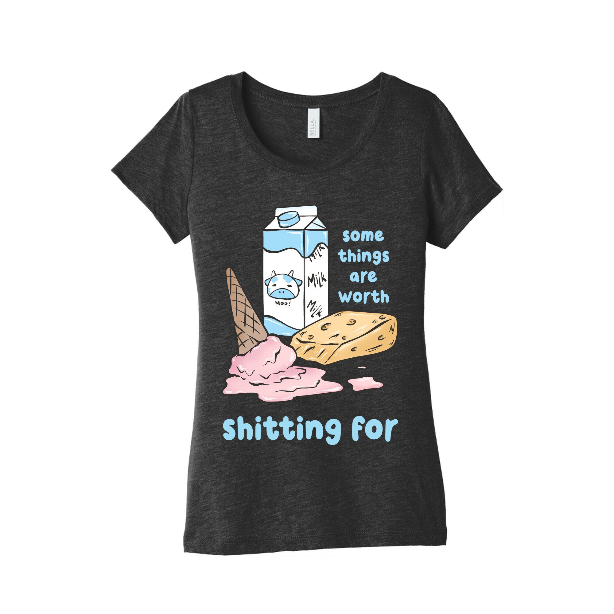 Some Things Are Worth Shitting For Women's Triblend Tee