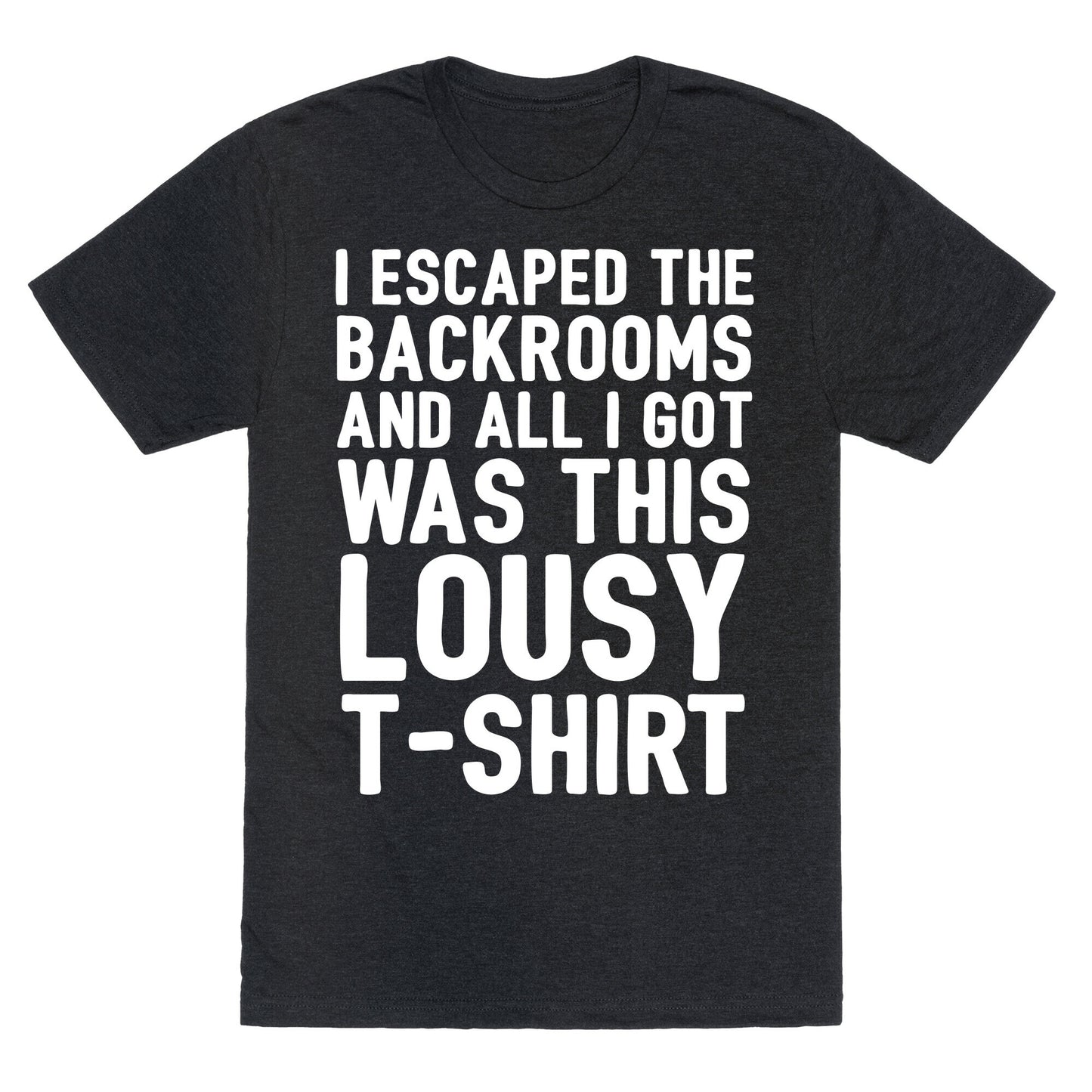 I Escaped The Backrooms And All I Got Was This Lousy T-Shirt Unisex Triblend Tee