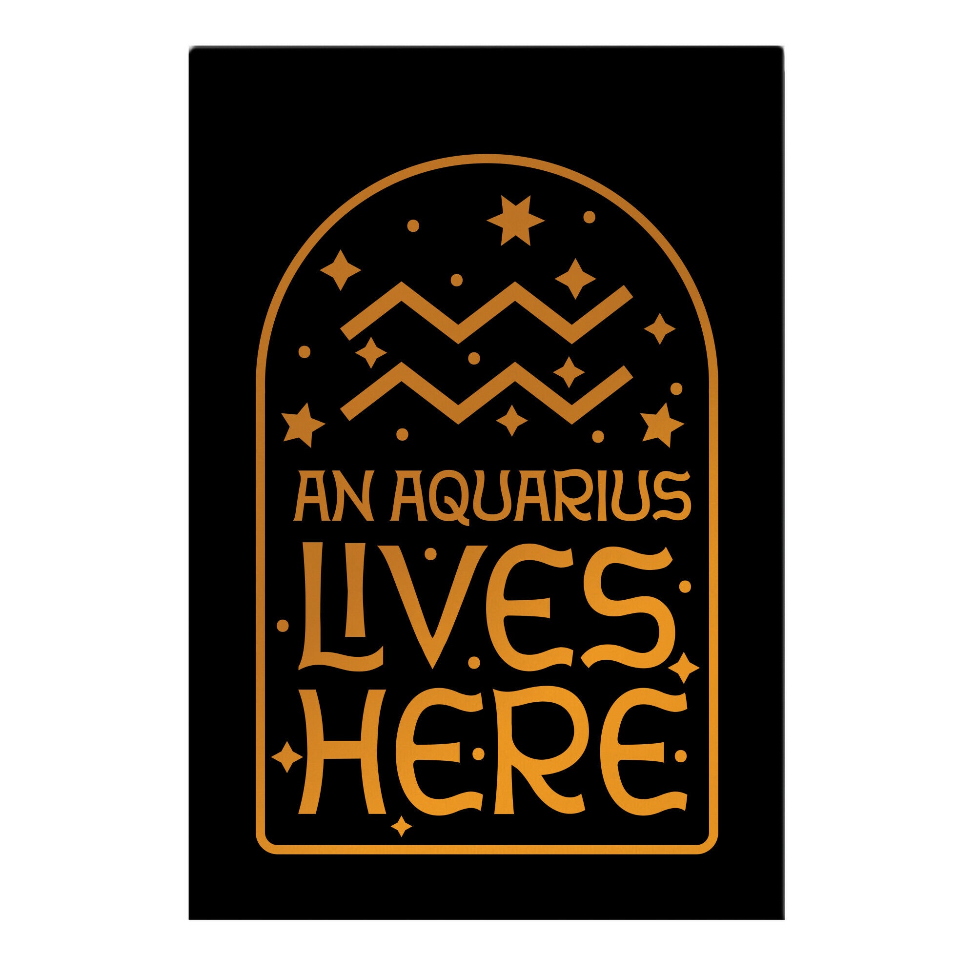 An Aquarius Lives Here  Garden Flag