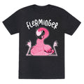 Derpy Flamingo Flerminger Unisex Triblend Tee