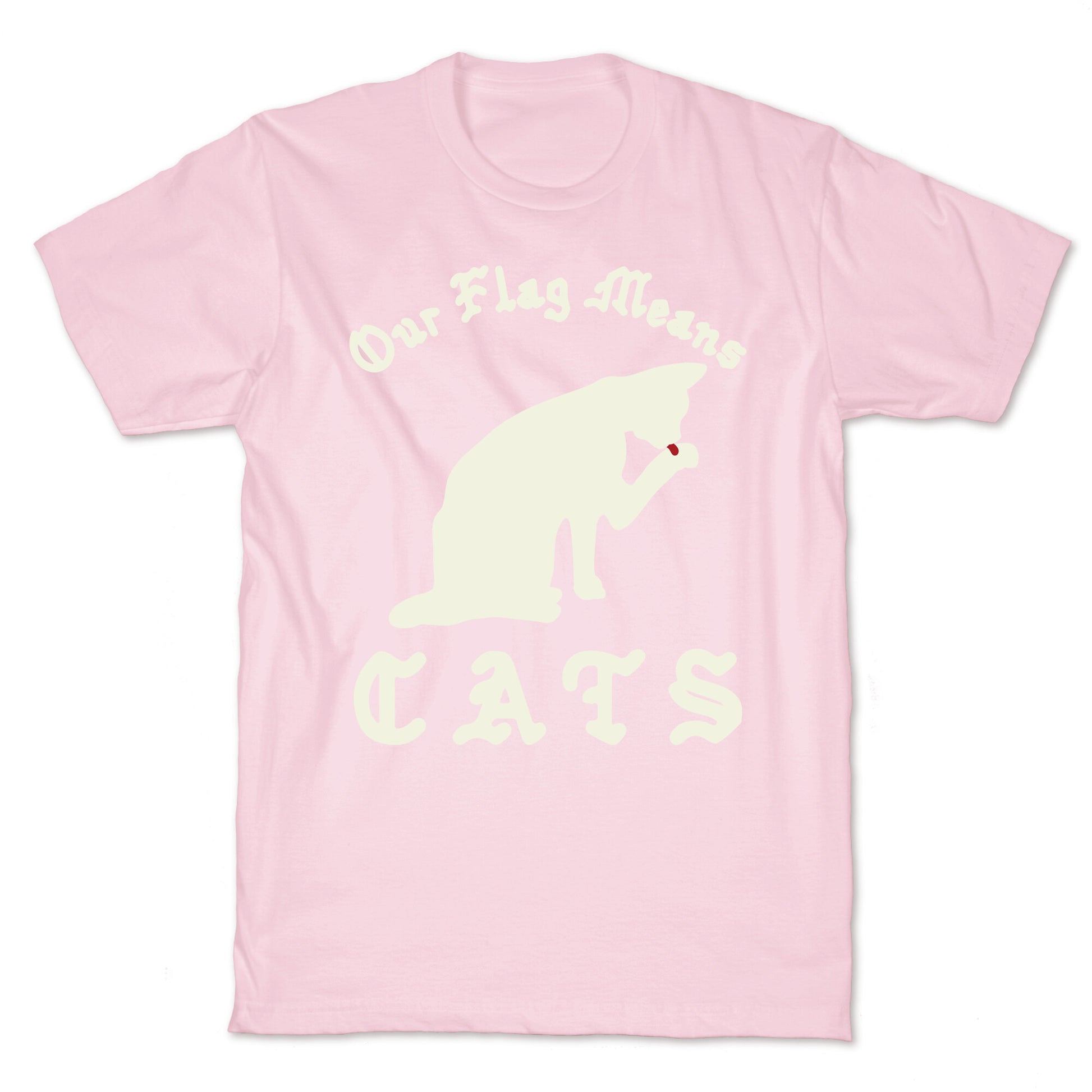 Our Flag Means Cats  T-Shirt