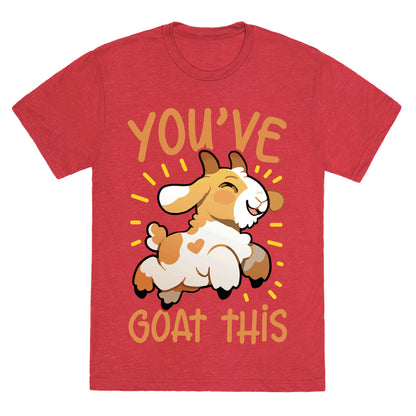 You've Goat This Unisex Triblend Tee