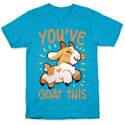 You've Goat This Unisex Triblend Tee