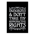 Dungeons & Don't Take My Reproductive Rights Garden Flag