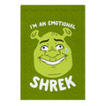I'm an Emotional Shrek Garden Flag