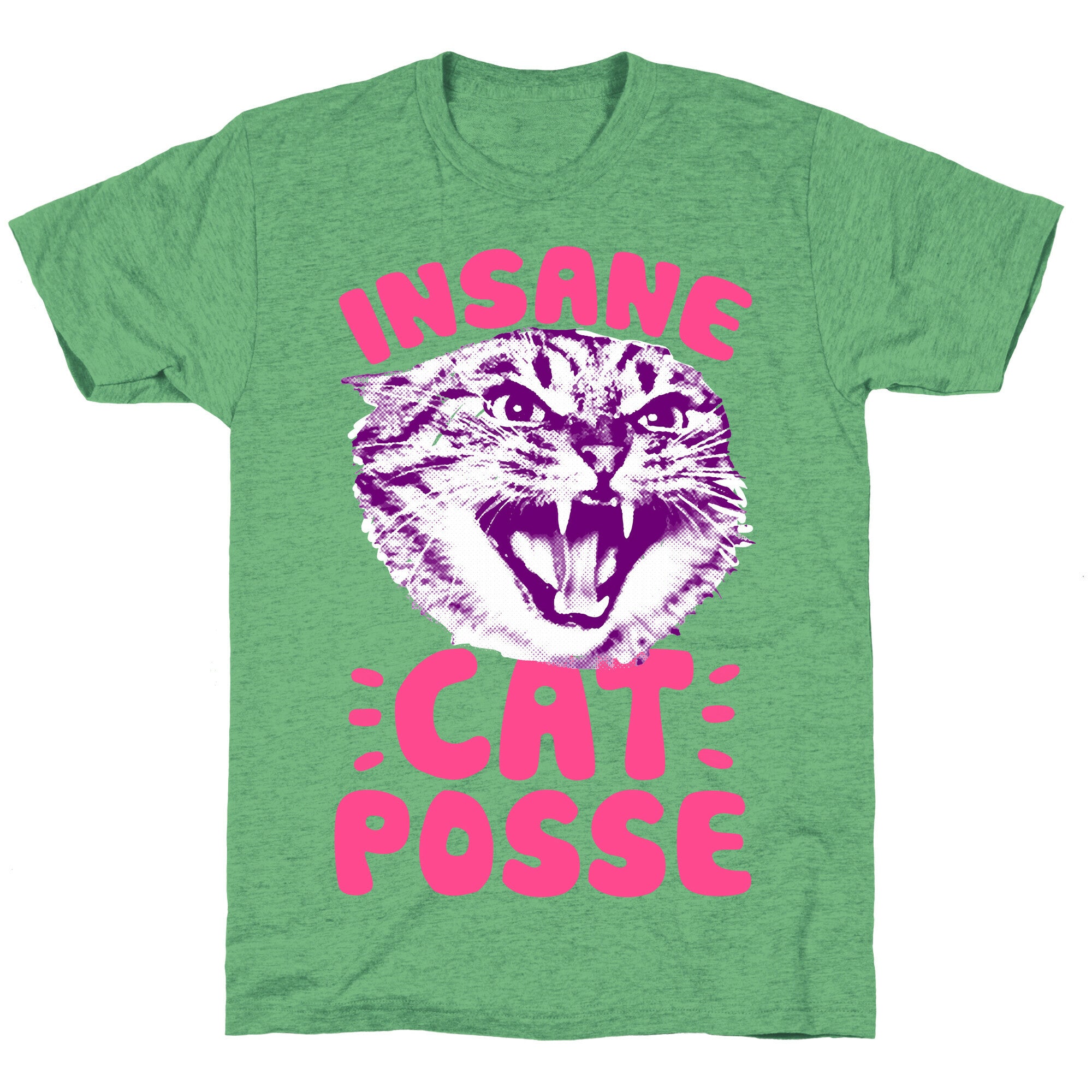 Insane Cat Posse Unisex Triblend Tee