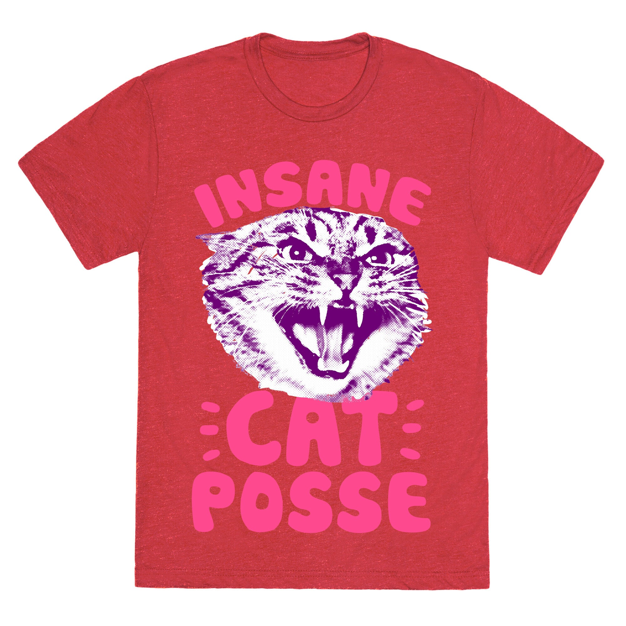 Insane Cat Posse Unisex Triblend Tee