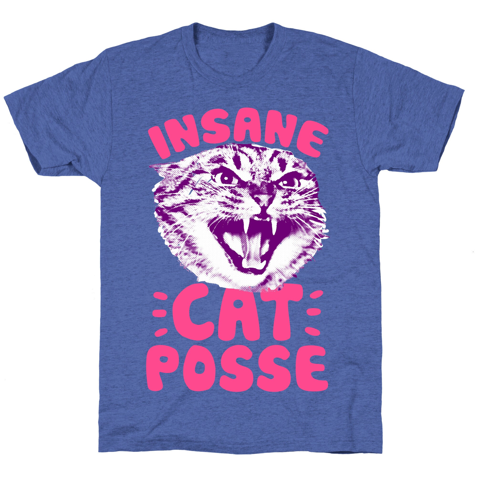 Insane Cat Posse Unisex Triblend Tee