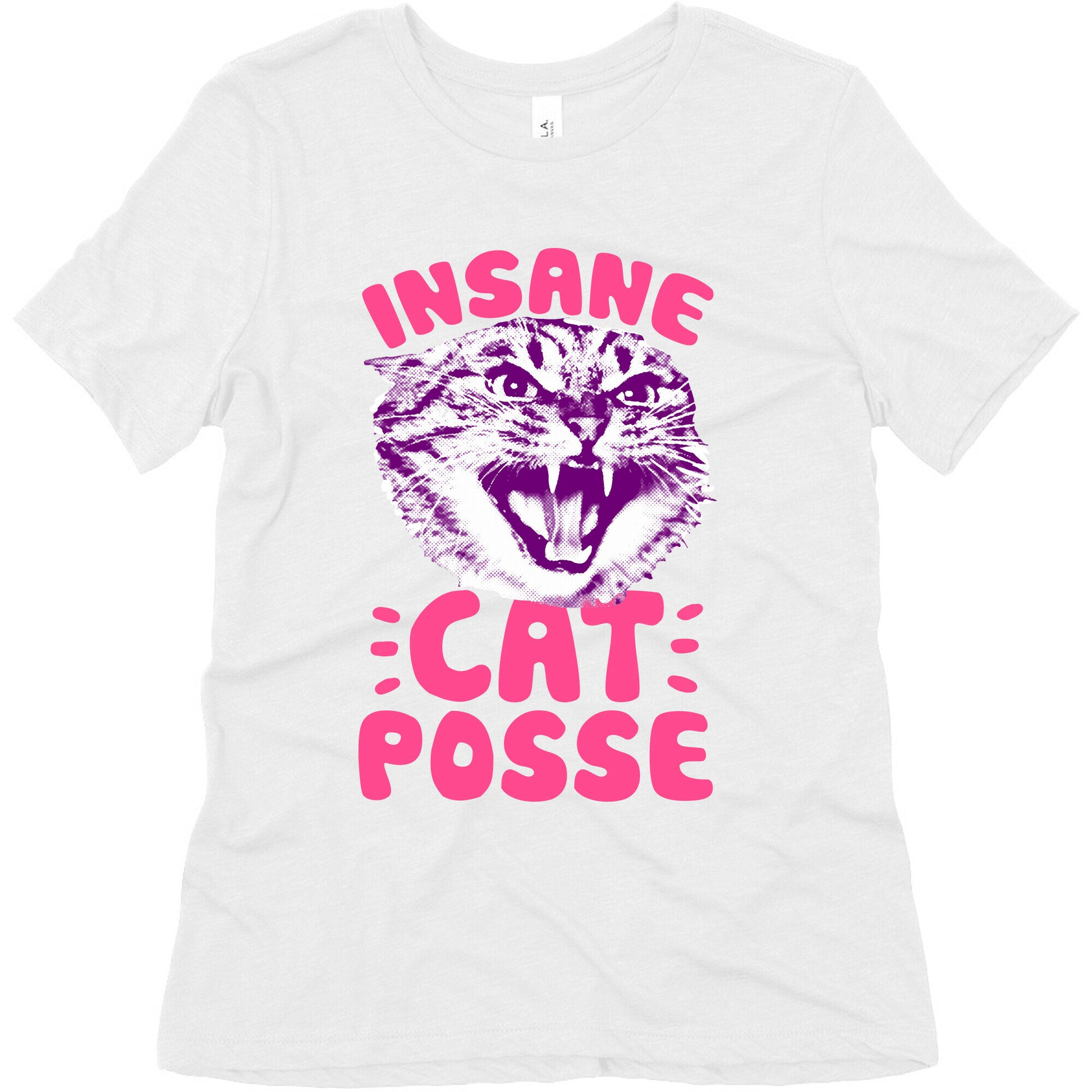 Insane Cat Posse Women's Triblend Tee