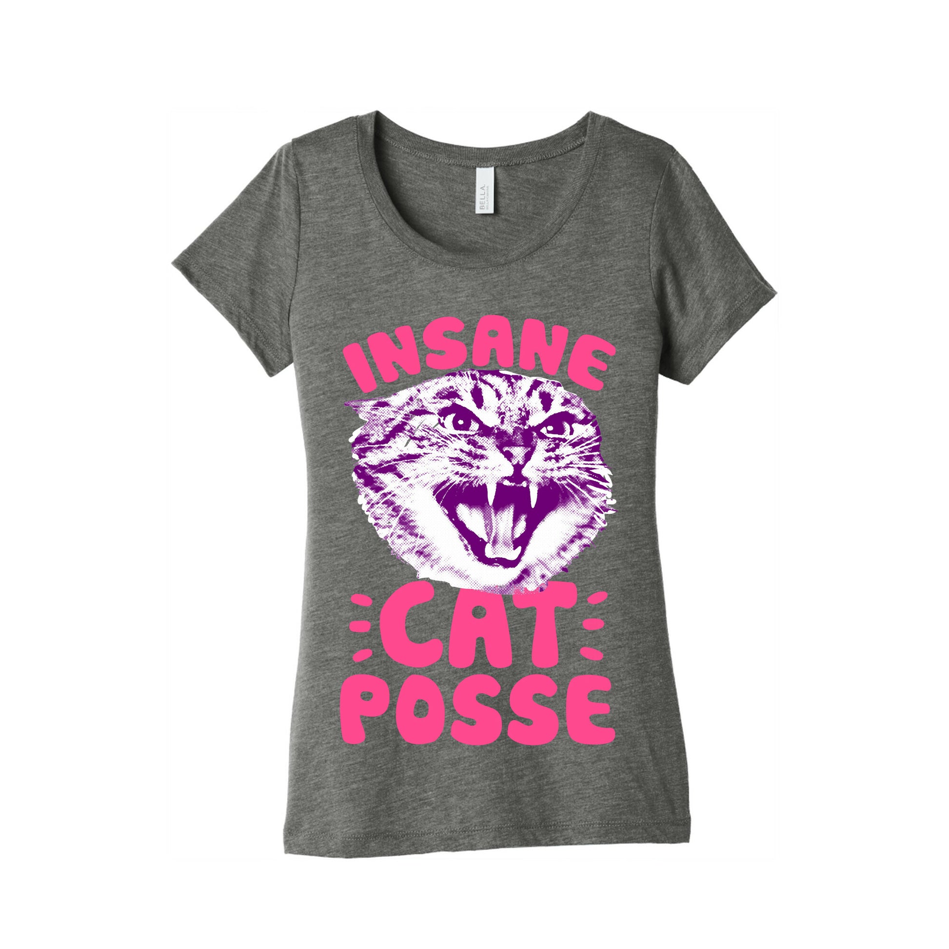 Insane Cat Posse Women's Triblend Tee