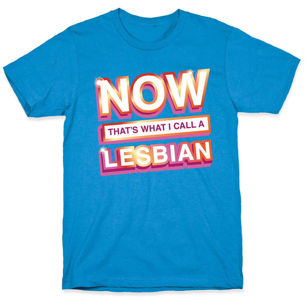 Now That's What I Call A Lesbian T-Shirt
