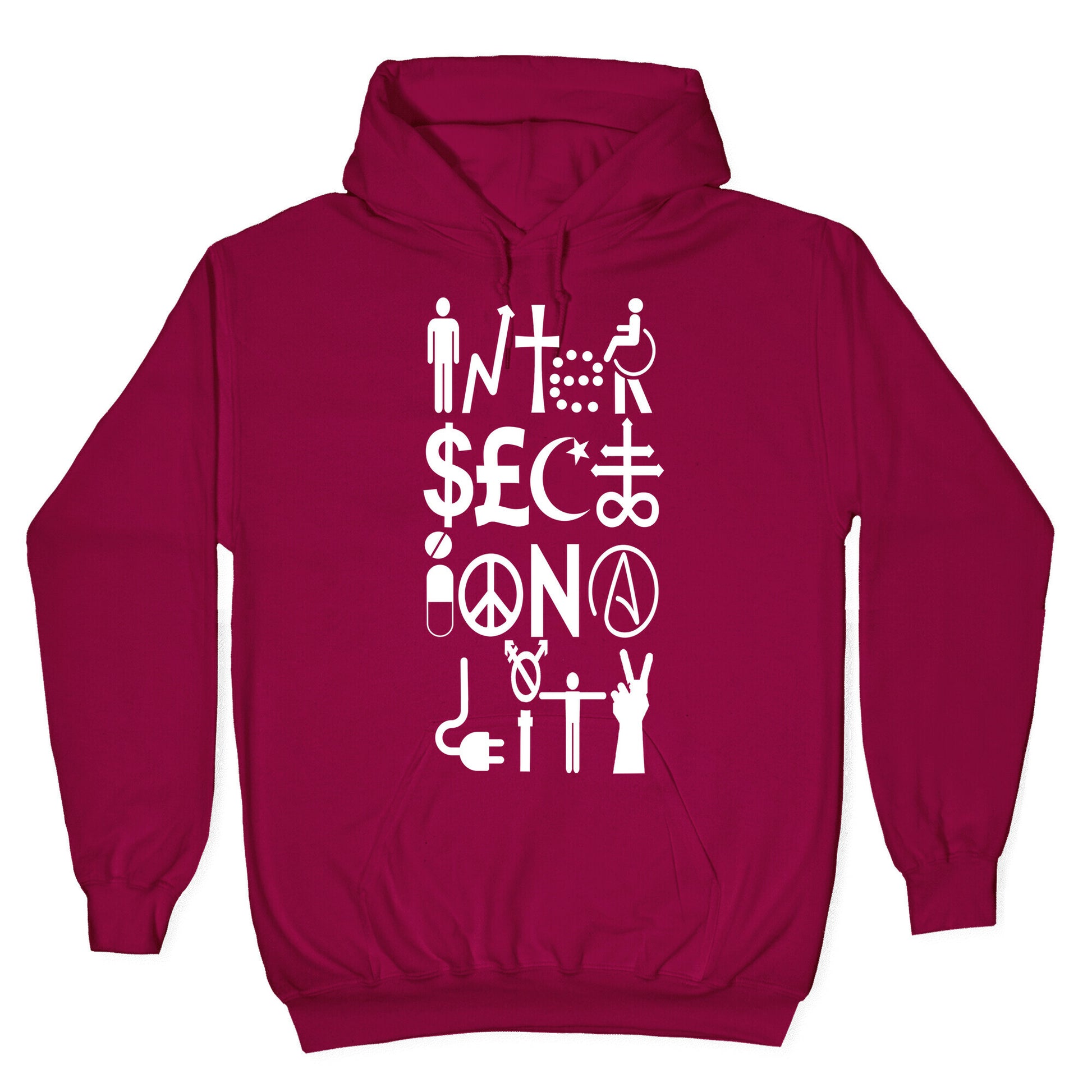 Intersectionality Hoodie