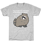 Hey (with the intention of stealing your food) Raccoon T-Shirt
