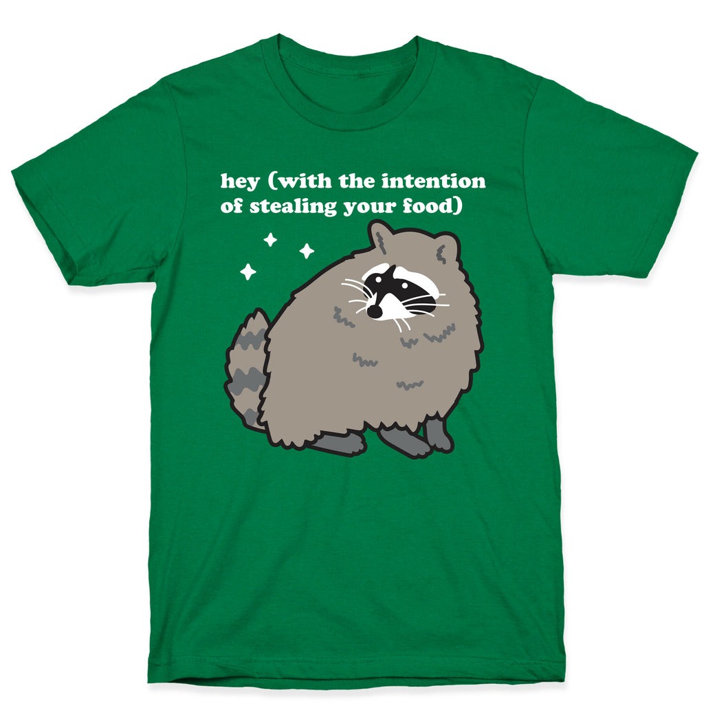 Hey (with the intention of stealing your food) Raccoon T-Shirt