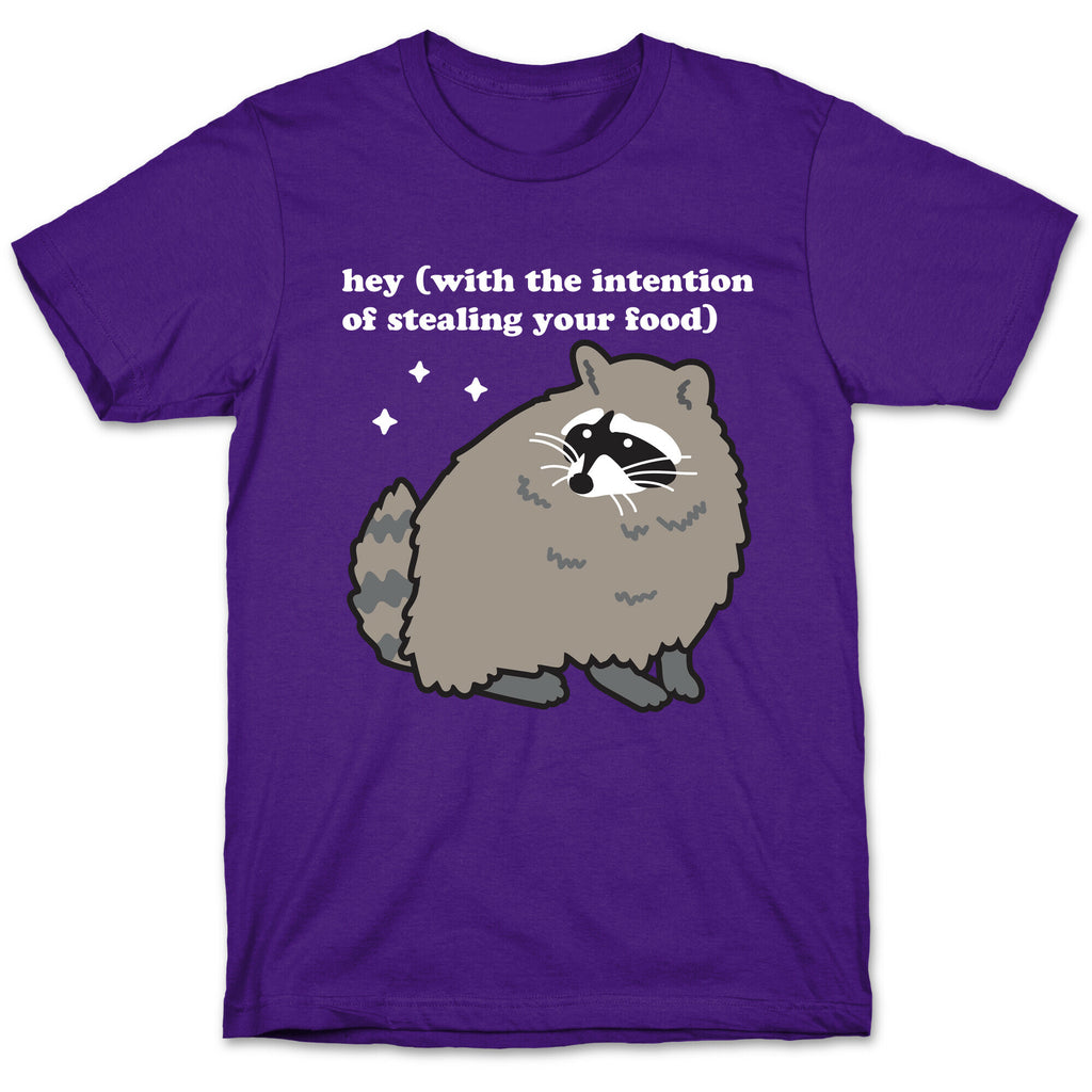 Hey (with the intention of stealing your food) Raccoon T-Shirt