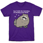 Hey (with the intention of stealing your food) Raccoon T-Shirt