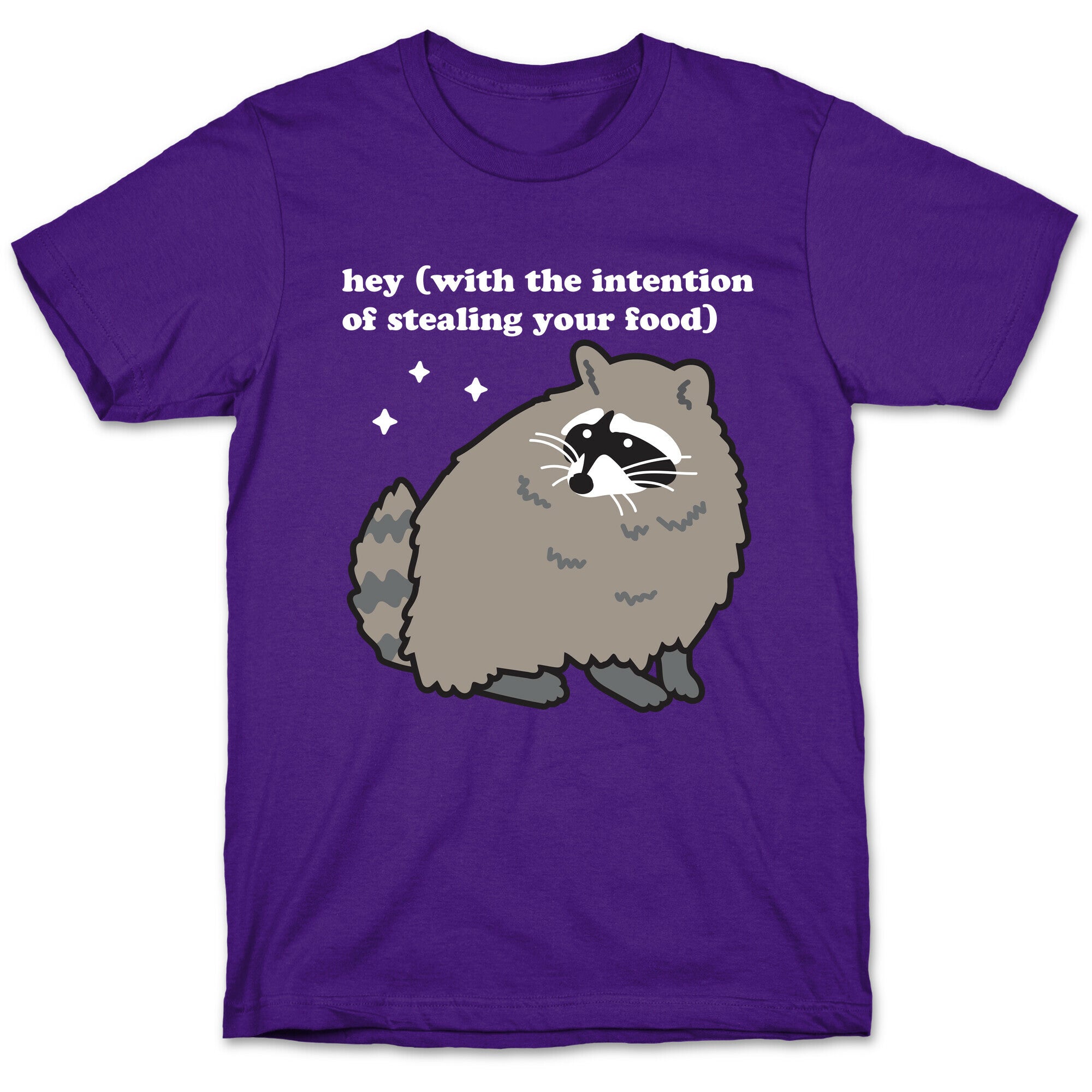 Hey (with the intention of stealing your food) Raccoon T-Shirt