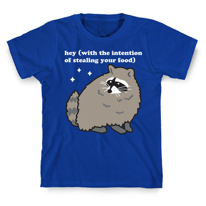 Hey (with the intention of stealing your food) Raccoon T-Shirt