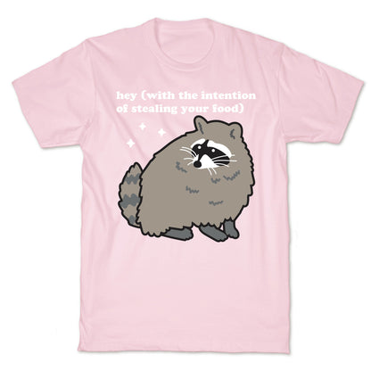 Hey (with the intention of stealing your food) Raccoon T-Shirt