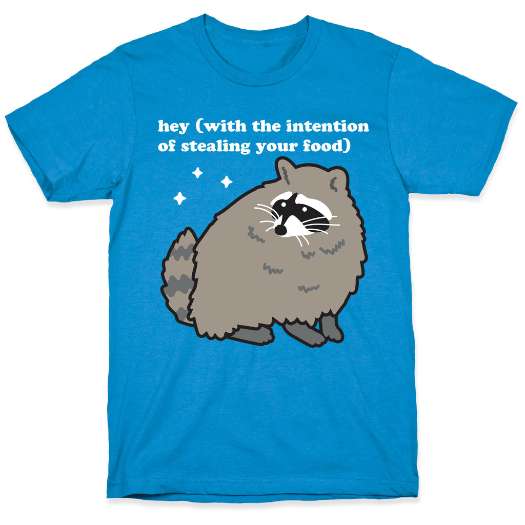 Hey (with the intention of stealing your food) Raccoon T-Shirt