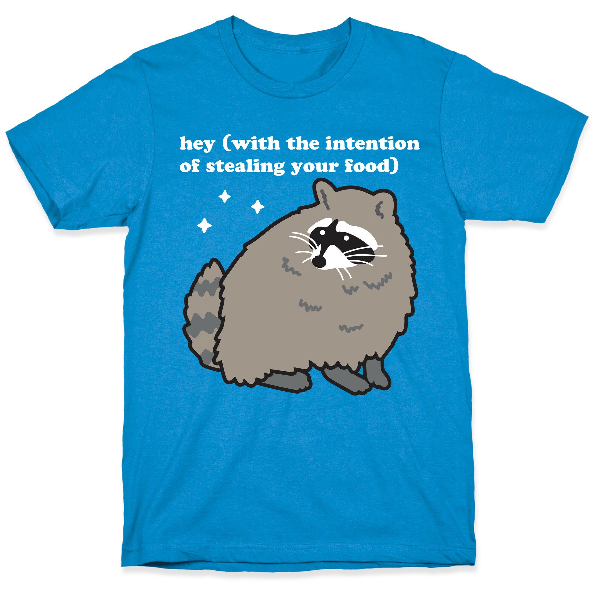 Hey (with the intention of stealing your food) Raccoon T-Shirt