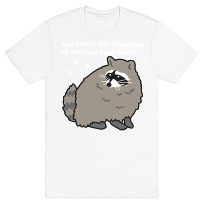 Hey (with the intention of stealing your food) Raccoon T-Shirt