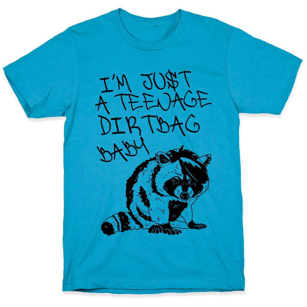 I'm Just a Teenage Dirtbag Baby Emo Raccoon Unisex Triblend Tee