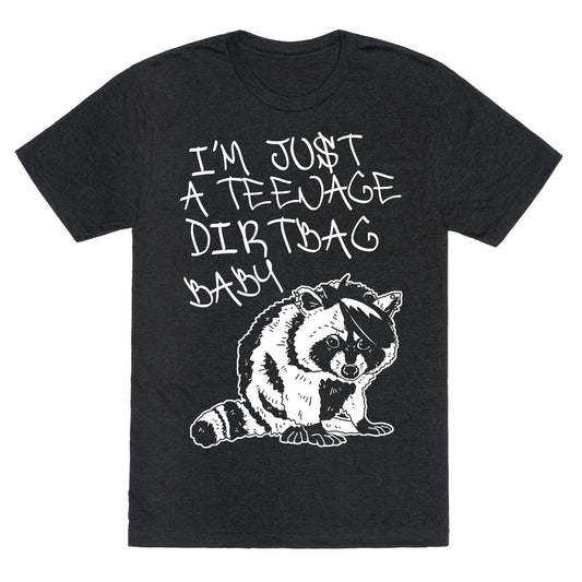 I'm Just a Teenage Dirtbag Baby Emo Raccoon Unisex Triblend Tee