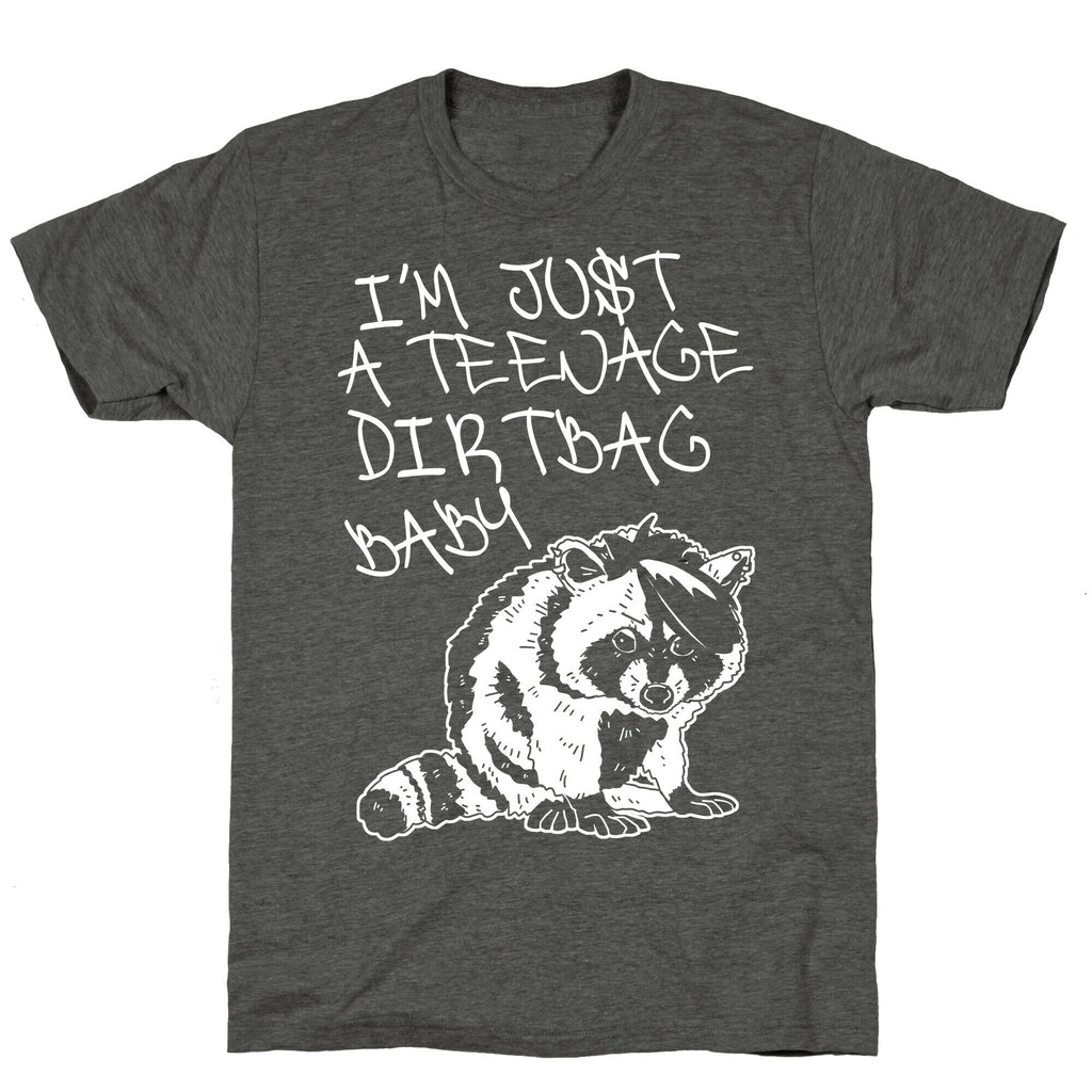 I'm Just a Teenage Dirtbag Baby Emo Raccoon Unisex Triblend Tee