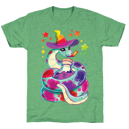 Snake Witch Unisex Triblend Tee