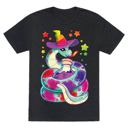 Snake Witch Unisex Triblend Tee