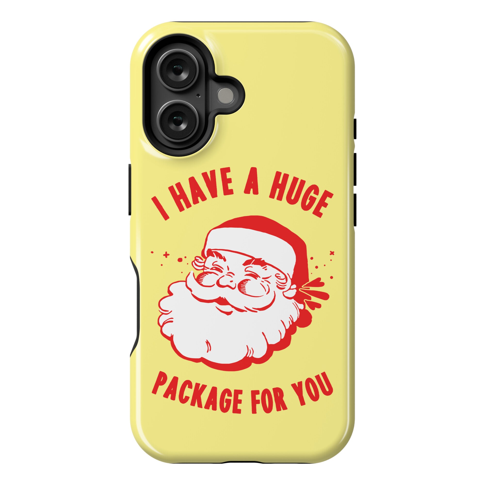 I Have A Huge Package For You Santa Phone Case
