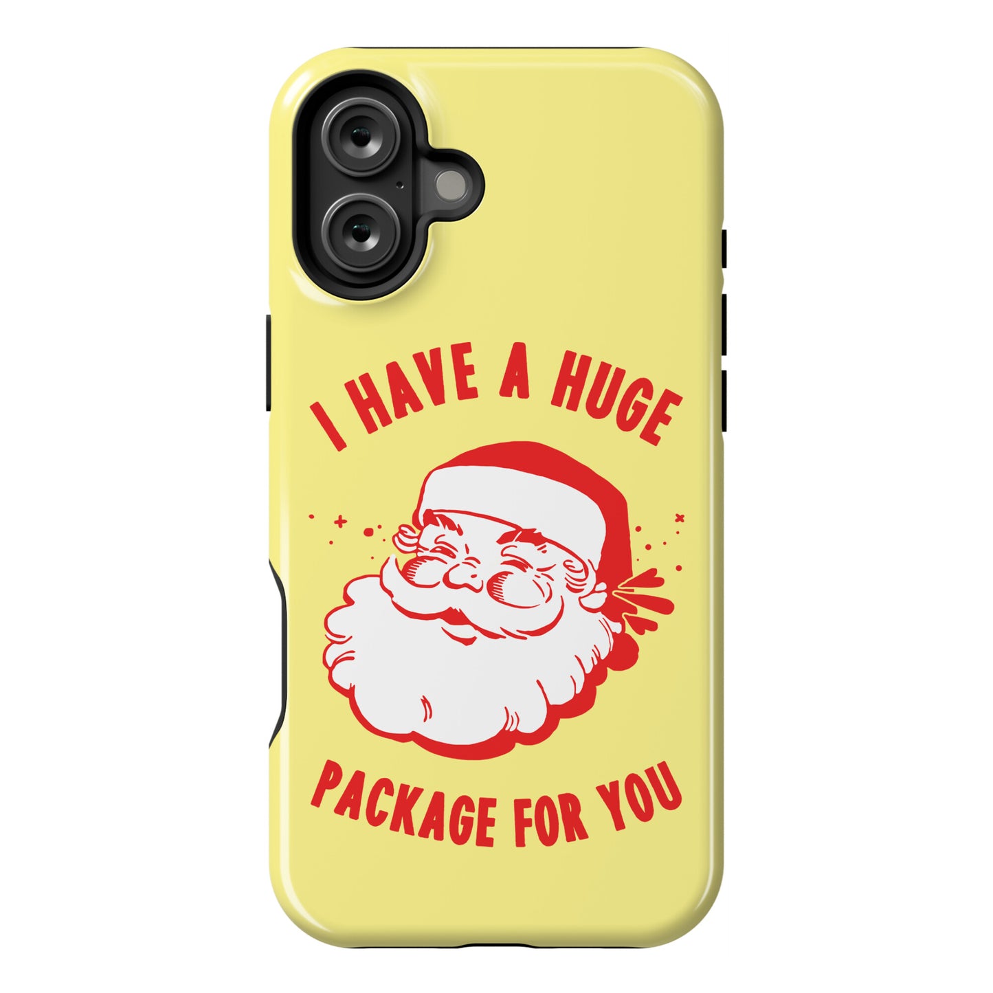 I Have A Huge Package For You Santa Phone Case